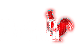 Houston TX Hot Chicken Logo